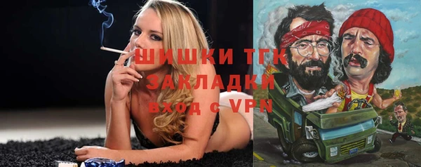 ПСИЛОЦИБИНОВЫЕ ГРИБЫ Абаза