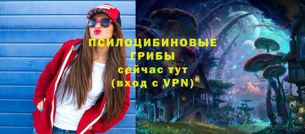 ПСИЛОЦИБИНОВЫЕ ГРИБЫ Абаза
